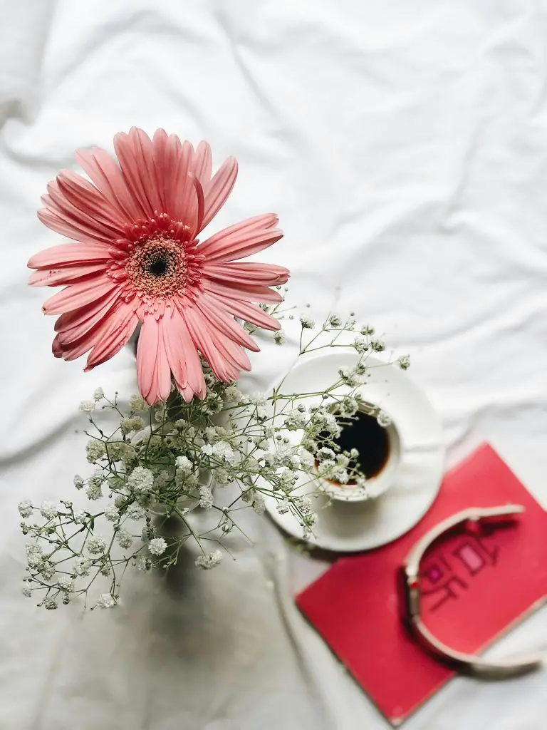 Rise and Reset: A Morning Routine That Starts with Stillness