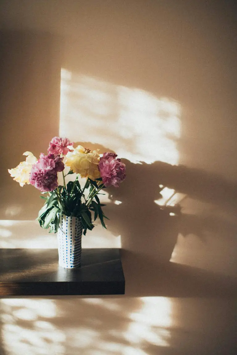 The Ultimate Guide to Creating Your Dream Aesthetic Bedroom