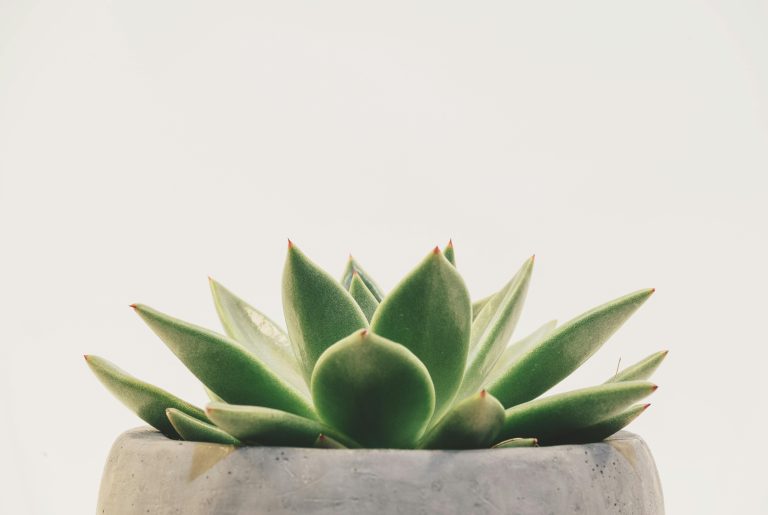 Romanticize Your Reset: Aesthetic Cleaning That Feels Like Self-Care