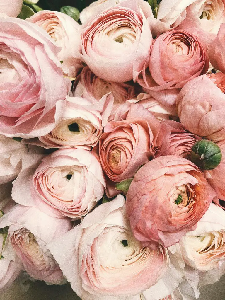 Soft Hands, Happy You: The Everyday Hand Care Routine You Didn’t Know You Needed