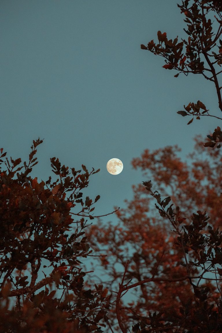 A Cozy Fall Night Routine to Unwind and Reset